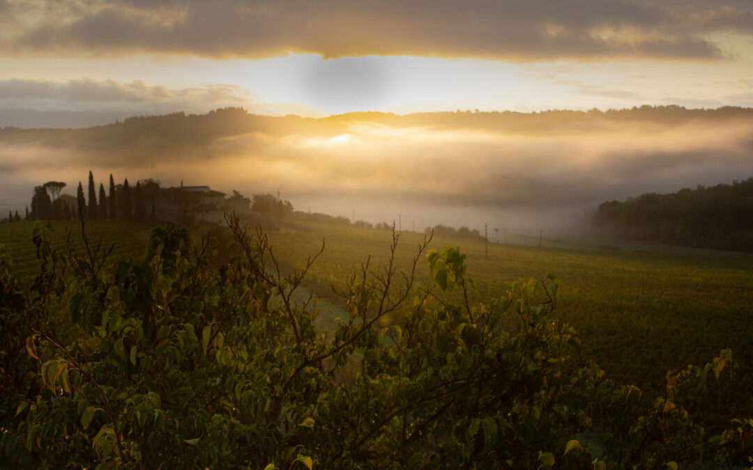 What Jesus taught about the kingdom of heaven