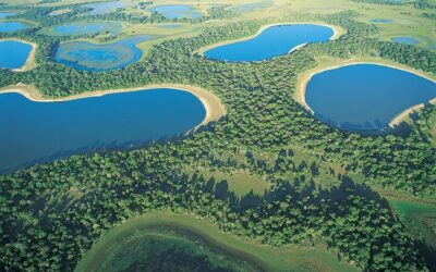 LSM’s Monthly Prayer Guide – February 2024