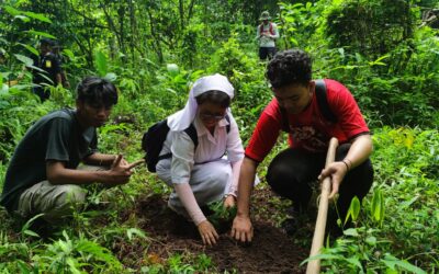 Cuidar la Creación: Iniciativa de Plantación de Árboles del Movimiento Laudato Si’ en Indonesia-Lampung