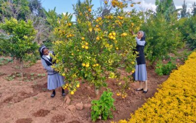 La missione Laudato Si’ delle Suore di San Carlo Borromeo in Tanzania e Uganda
