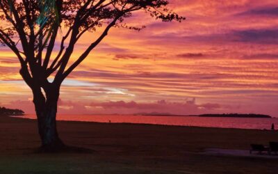 Guida mensile alla preghiera del MLS – Agosto 2024