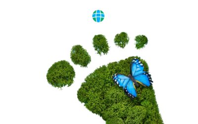 Plan your Season of Creation actions