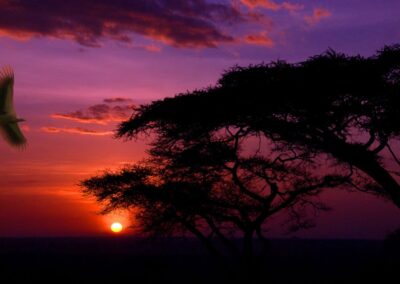 What is the World Day of Prayer for the Care of Creation?