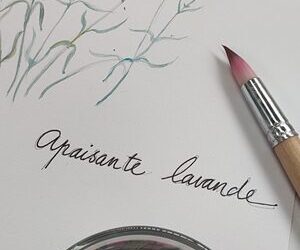 We keep growing: 1238 new Laudato Si’ Animators!