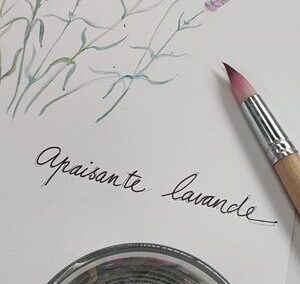 We keep growing: 1238 new Laudato Si’ Animators!