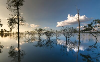 O Papa Francisco nos chama a ter esperança com sua intenção para este mês