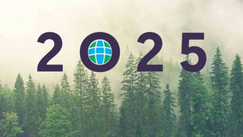 2025 A Year Of Adventure Laudato Si Movement 2025 480x270