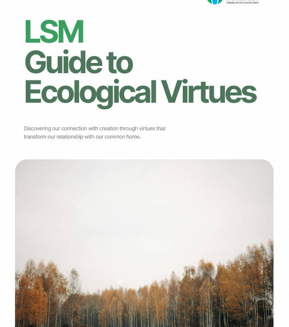 Guida del MLS alle Virtù Ecologiche