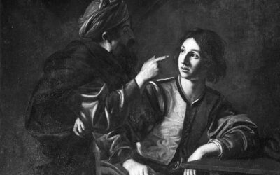 Rubrica “Parola e Creazione” – VIII domenica del tempo ordinario