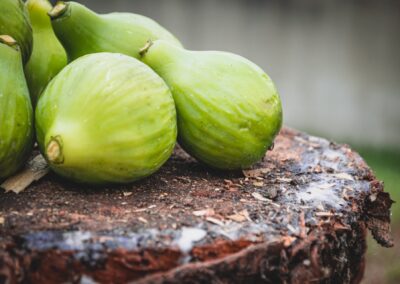 Rubrica “Parola e Creazione” – III domenica di Quaresima