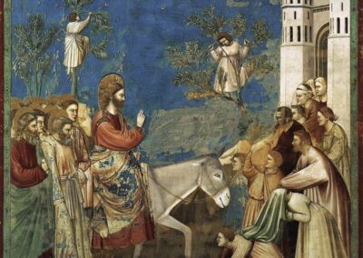 Rubrica “Parola e Creazione” – Domenica delle Palme