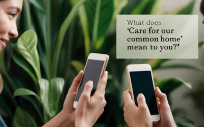 Ignite Laudato Si’ conversations everywhere!