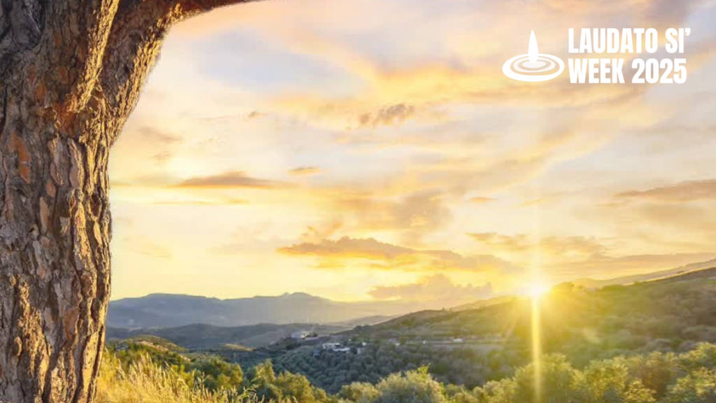 Começa a Semana Laudato Si’ 2025: Uma Celebração Global de Esperança
