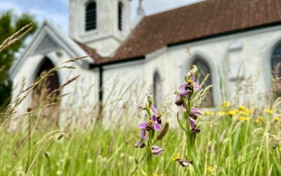 Ireland’s Faith-Based Response to the Climate and Biodiversity Crisis