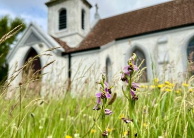Ireland’s Faith-Based Response to the Climate and Biodiversity Crisis