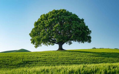 Una nuova ricerca dimostra che la fede è la forza trainante delle narrazioni mediatiche sul clima