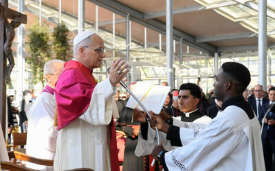 È tempo di passare dalle parole ai fatti: il messaggio del Papa per la Giornata del Creato