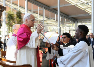 È tempo di passare dalle parole ai fatti: il messaggio del Papa per la Giornata del Creato