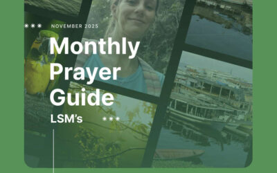 Guía Mensual de Oración del MLS  – Noviembre de 2025 –  Por la prevención del suicidio y la ecoansiedad