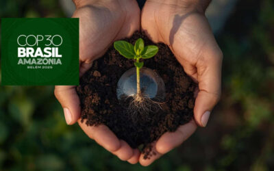 COP30: un llamado para los católicos a cuidar nuestra Casa Común