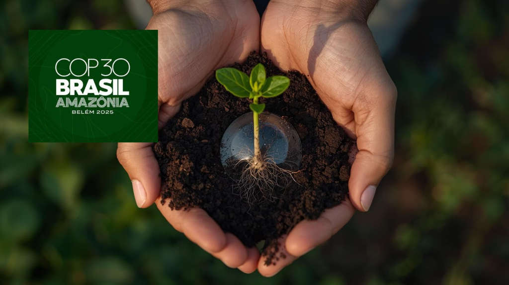 COP 30: un appel aux catholiques à prendre soin de notre maison commune