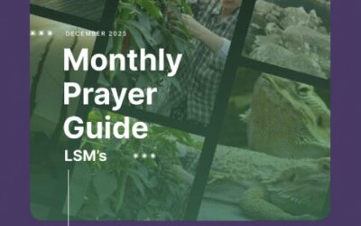 LSM’s Monthly Prayer Guide – December 2025 – For Christians in areas of conflict and climate vulnerability