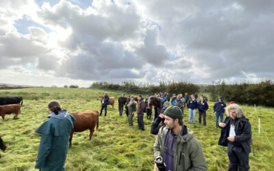 From Soil to Policy: A Conversation with Mateusz Ciasnocha