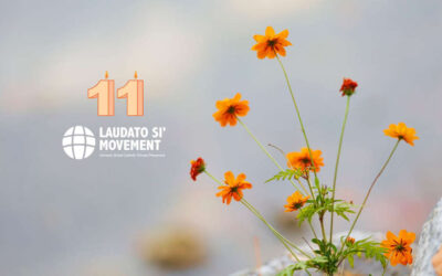 Laudato Si’ Movement – 11th Anniversary Online Celebration : A Global Celebration of Gratitude, Passion, and Hope