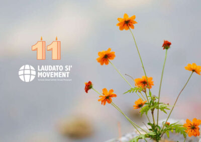 Movimento Laudato Si’ – Celebrazione online dell’11° anniversario: una celebrazione globale di gratitudine, passione e speranza