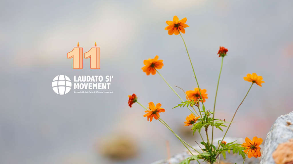 Movimiento Laudato Si’ – Celebración en línea del 11.° aniversario: una celebración mundial de gratitud, pasión y esperanza
