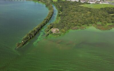 Conferenza del Consiglio Irlandese delle Chiese: “Lascia che la giustizia scorra come i fiumi”
