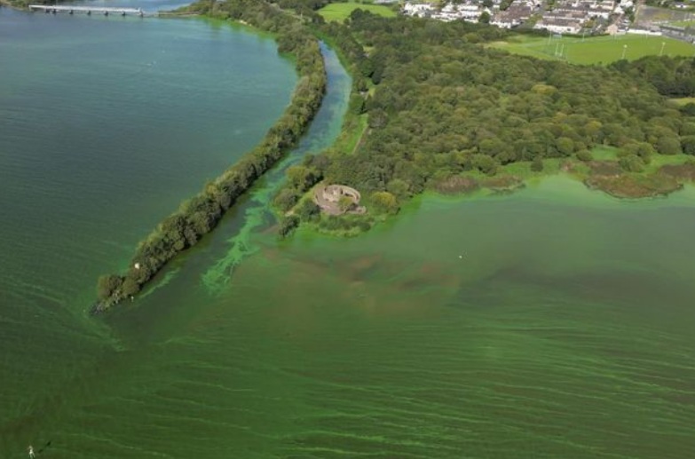 Conferencia del Consejo Irlandés de Iglesias «Que la justicia fluya como los ríos»