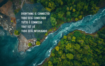 Perché porre fine ai combustibili fossili è importante per il Movimento Laudato Si’