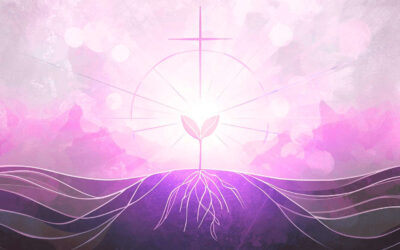 A Restored Heart to Care for Our Common Home