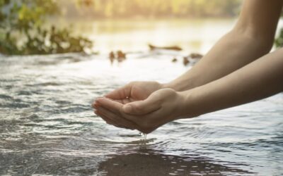 Nós temos sede de quê? Um início espiritual para o Tempo da Criação de 2026