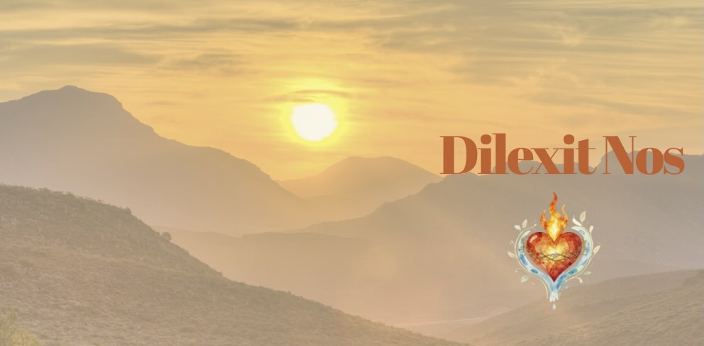 Du cœur du Christ au cœur de la création : un amour qui devient eau vive
