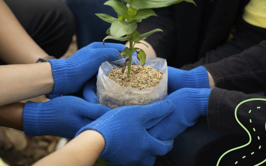 Plantez aujourd’hui. Faites grandir l’espérance : participez à la campagne mondiale de plantation d’arbres 🌱