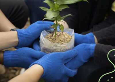 Plante hoje. Faça a esperança crescer: participe da Campanha Global de Plantio de Árvores 🌱