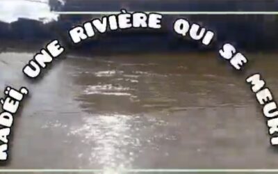 Protecting the Kadei River: Water is Life