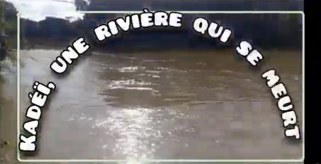 Kadei ,Une rivière qui se meurt au Cameroun