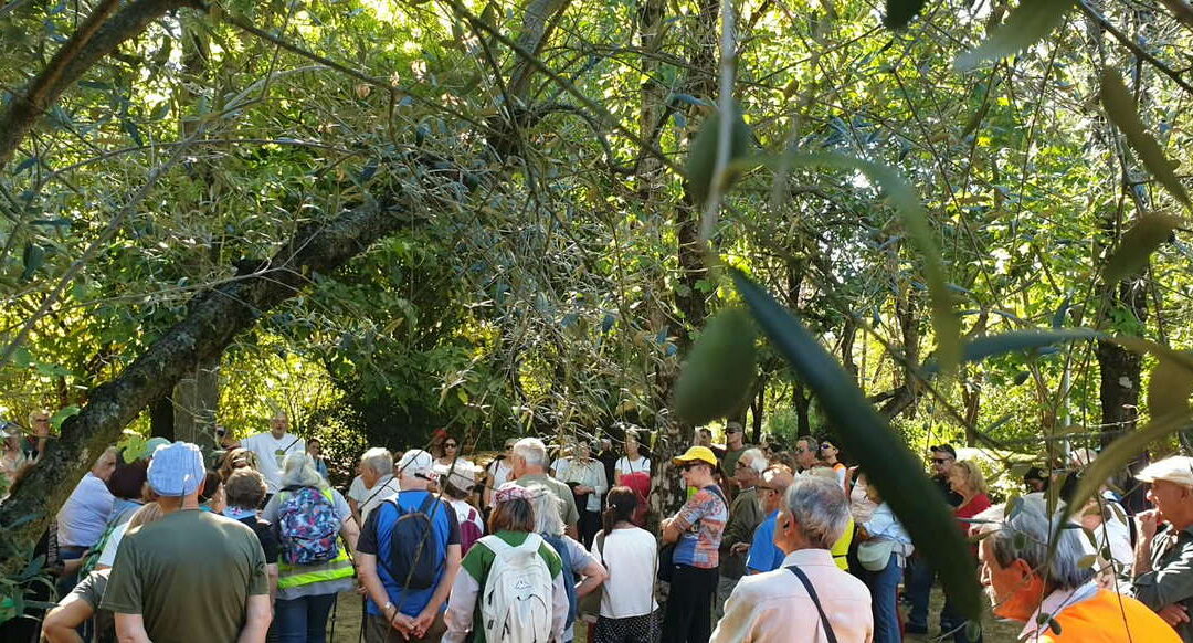 Histoires d’Eau vive : l’eau qui nous fait vivre